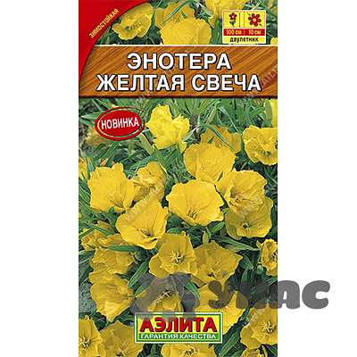 Энотера Желтая свеча Аэлита Ц 