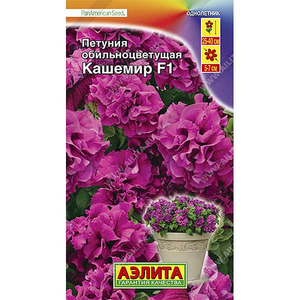 Петуния Кашемир махров Аэлита Ц 