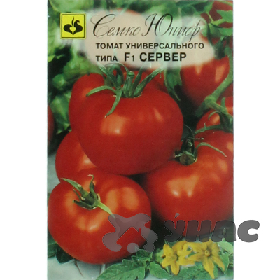 Семена Томат Сервер Семко