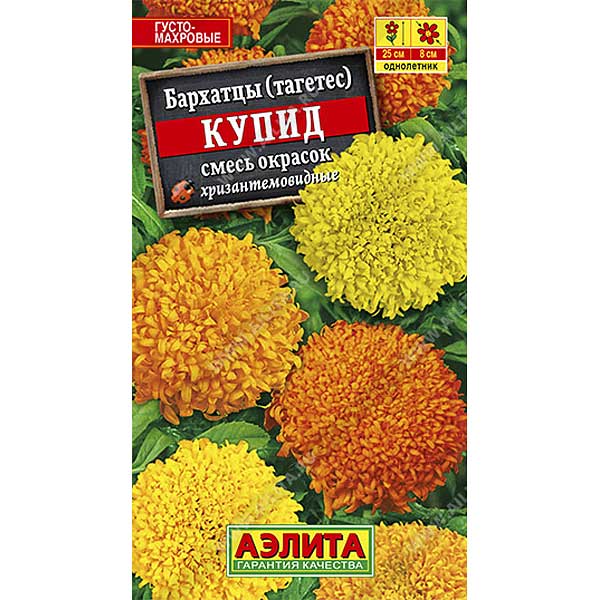 Бархатцы Купид смесь хризантемов. Аэлита Ц 