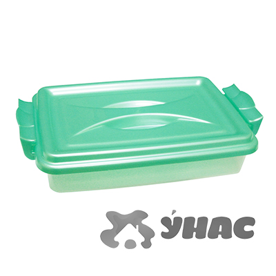 Контейнер прямоугольный 4,5л (плоский) БШ574 (10)