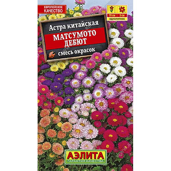 Астра Матсумото Дебют смесь Аэлита Ц 