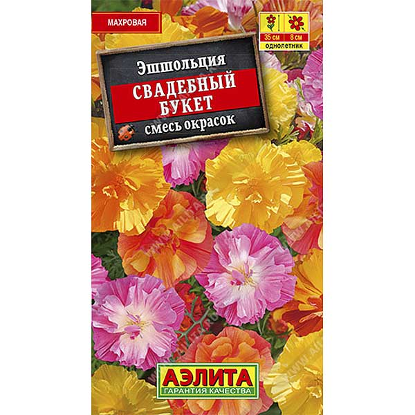 Эшшольция Свадебный букет Аэлита Ц 