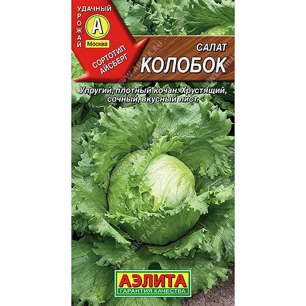 Салат Колобок кочанный Аэлита Ц
