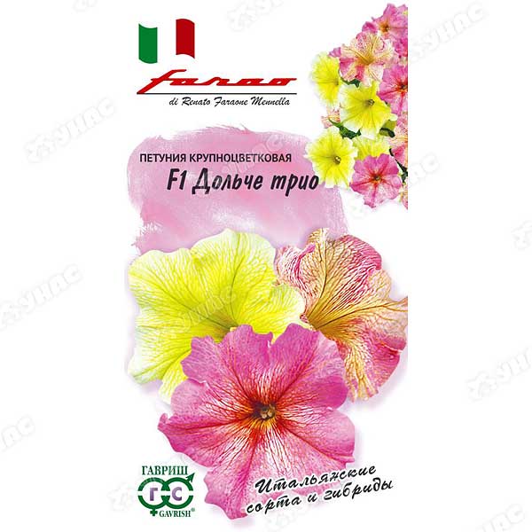 Петуния Дольче Трио Гавриш Ц 