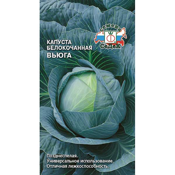 Капуста Вьюга Седек Б