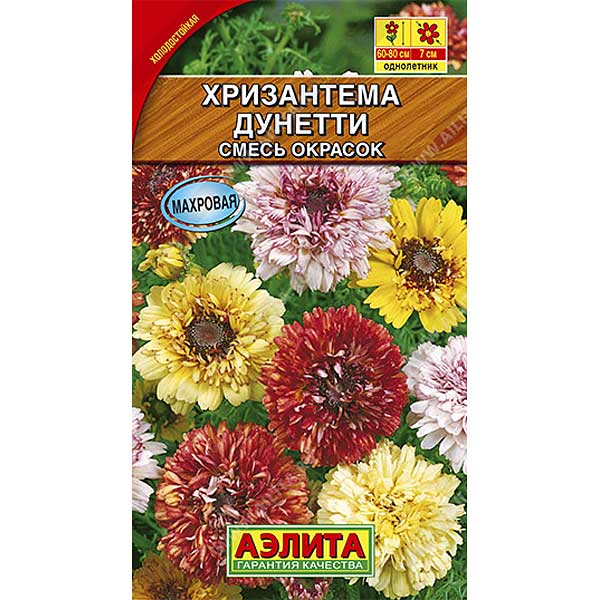 Хризантема Дунетти килеватая Аэлита Ц 