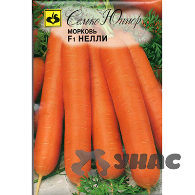Морковь Нелли Семко Ц