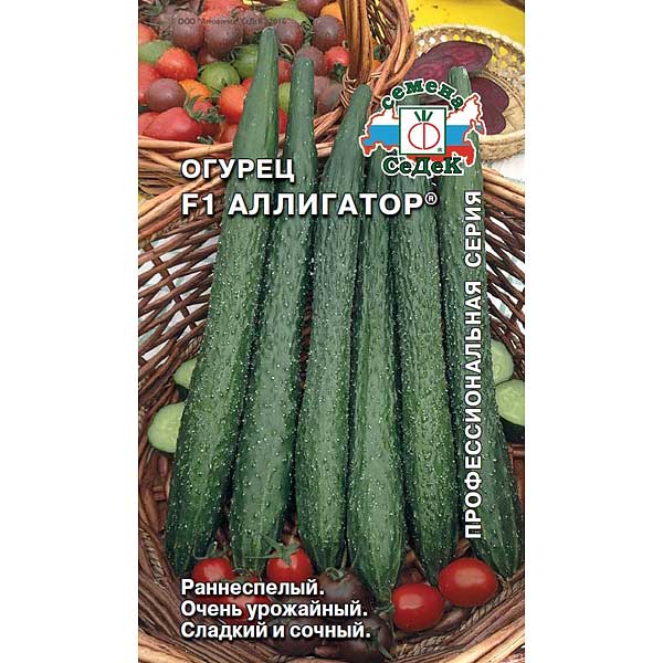 Огурец Аллигатор Седек Ц