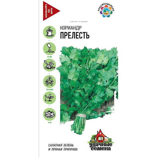 Кориандр Прелесть Удачные Семена семян больше Гавриш Ц