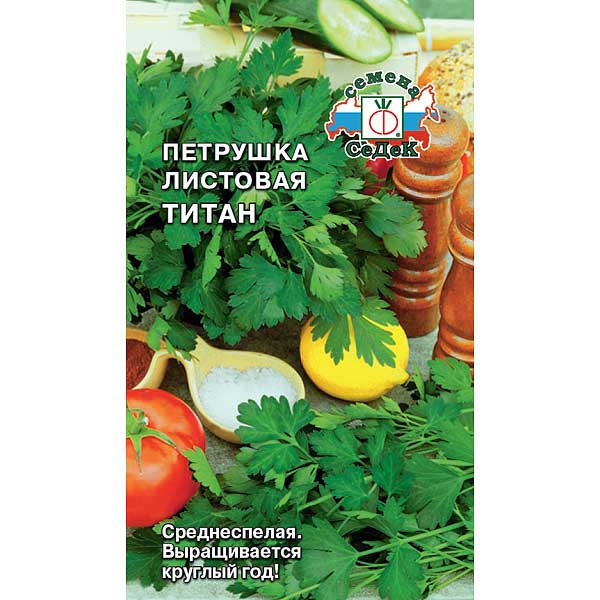 Петрушка Титан листовая Седек Ц