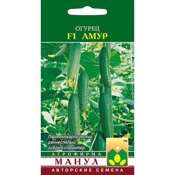 Огурец Амур Манул Ц