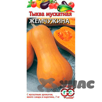 Тыква Жемчужина мускатная Гавриш Ц