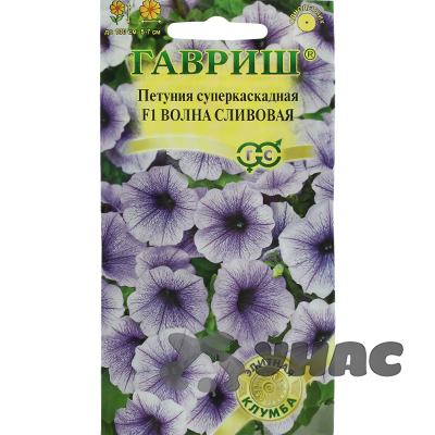 Петуния Волна Сливовая (минитуния) Гавриш Ц 
