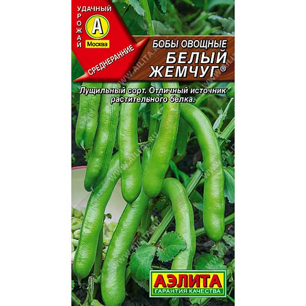 Бобы Белый жемчуг Аэлита Ц