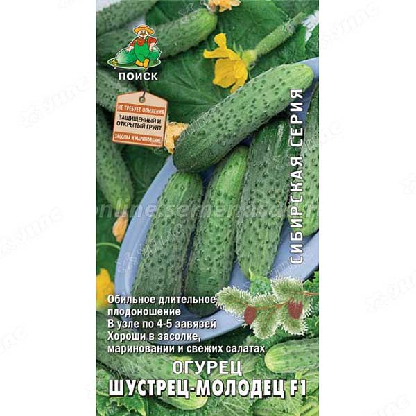 Огурец Шустрец-молодец Поиск Ц