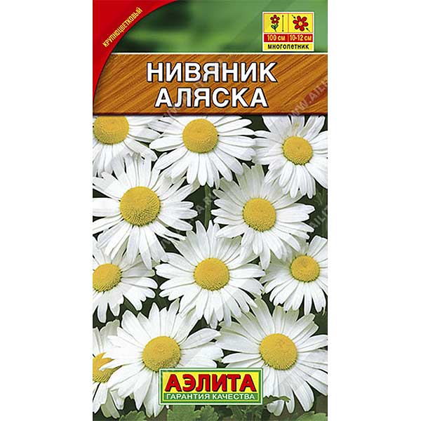 Нивяник Аляска Аэлита Ц 