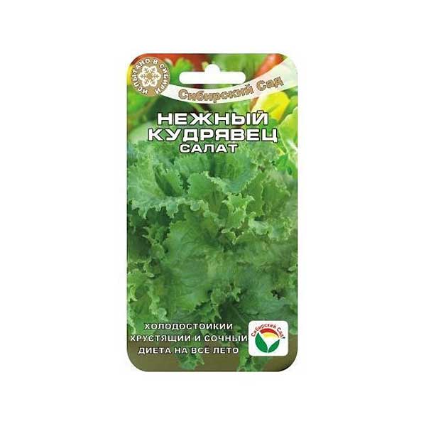 Салат Нежный кудрявец СибСад Ц