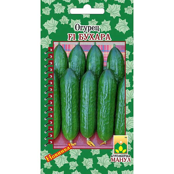 Огурец Бухара Манул Ц