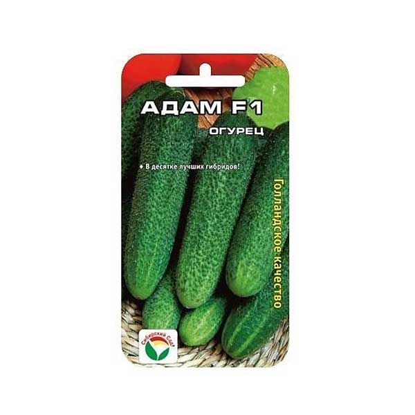 Огурец Адам СибСад Ц