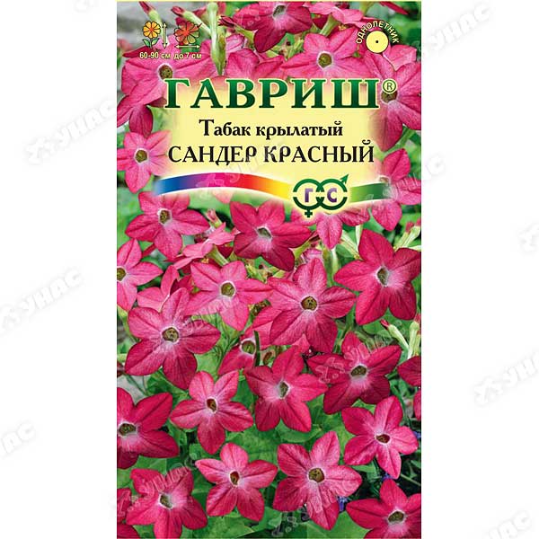 Табак крылатый Сандер красный Гавриш Ц 