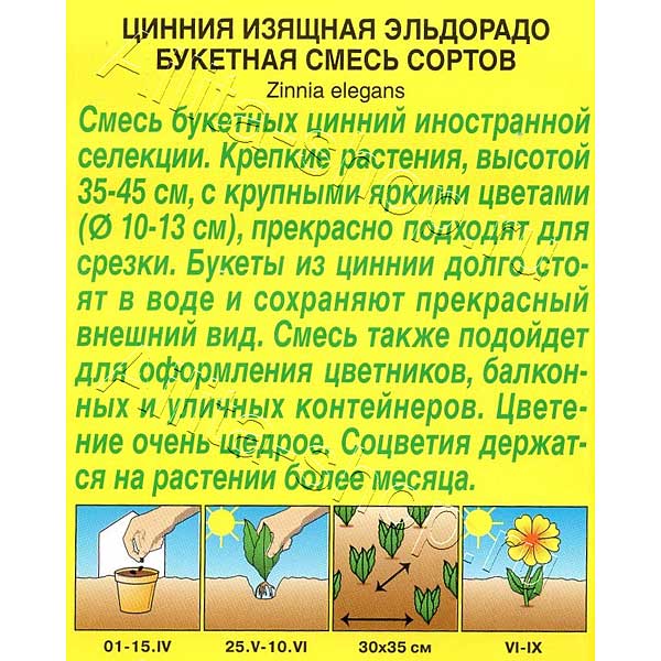 Циния Эльдорадо букетная смесь Аэлита Ц 