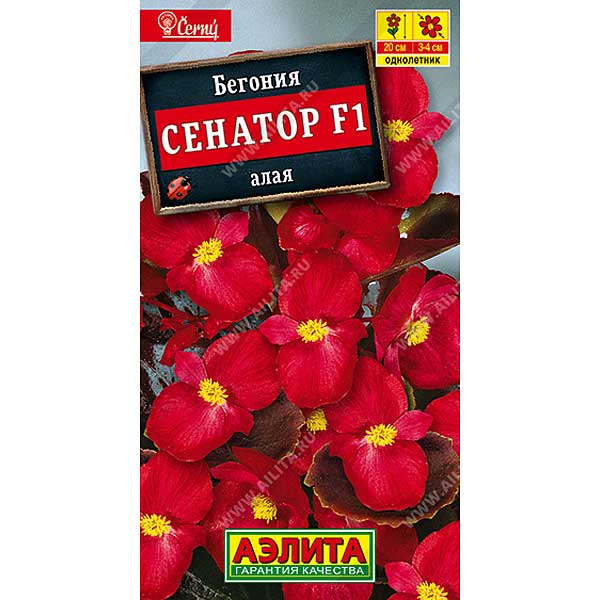 КОМ Бегония Сенатор алая Аэлита Ц 