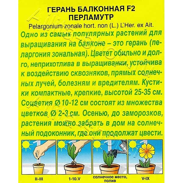 КОМ Герань Перламутр Аэлита Ц 