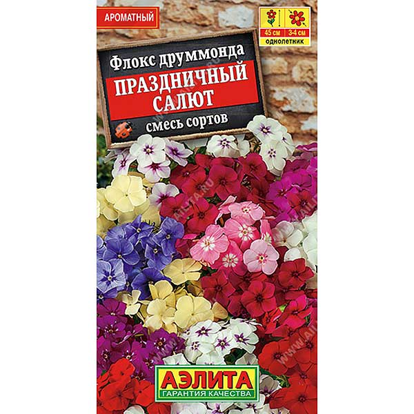 Флокс Праздничный салют Аэлита Ц 