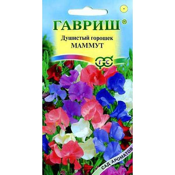 Душистый горошек Маммут смесь(Сад ароматов)Гавриш Ц 
