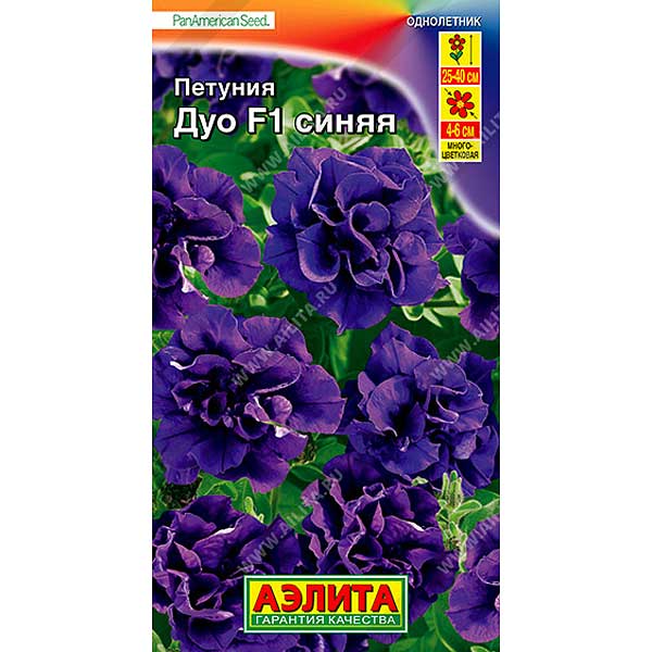 Петуния Дуо Синяя Аэлита Цх10 
