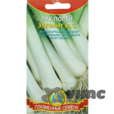 Лук порей Элефант Плазма Ц