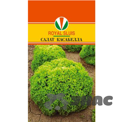 Салат Касабелла Маринда/Акварель Ц