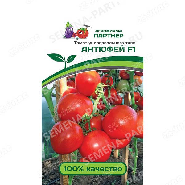 Семена Томат Антюфей Партнер