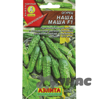 Огурец Наша Маша Аэлита Ц x10