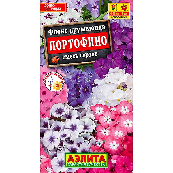 Флокс Портофино смесь Аэлита Ц 