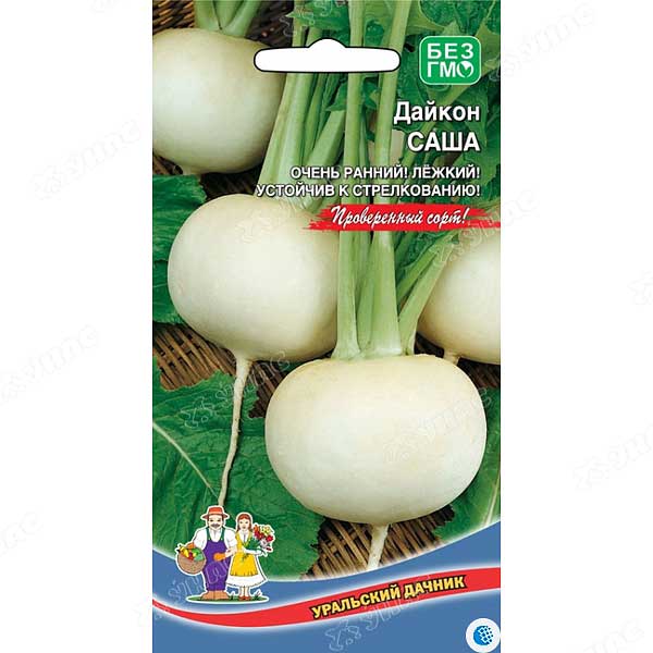 Дайкон Саша НК Ц