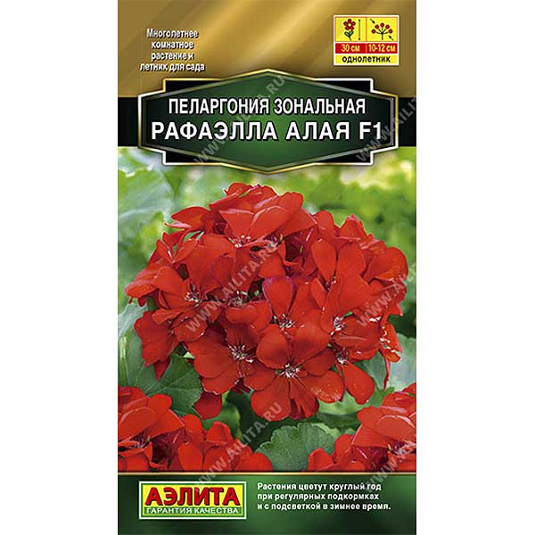 КОМ Пеларгония Рафаэлла алая  Аэлита Ц 