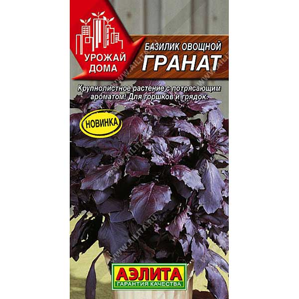 Базилик Гранат Аэлита Цх10