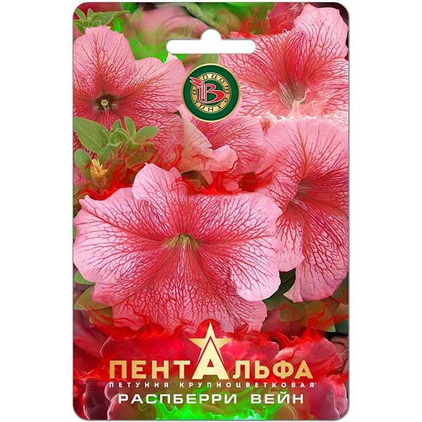 Петуния Пентальфа Распберри Вейн Биотехника Ц 