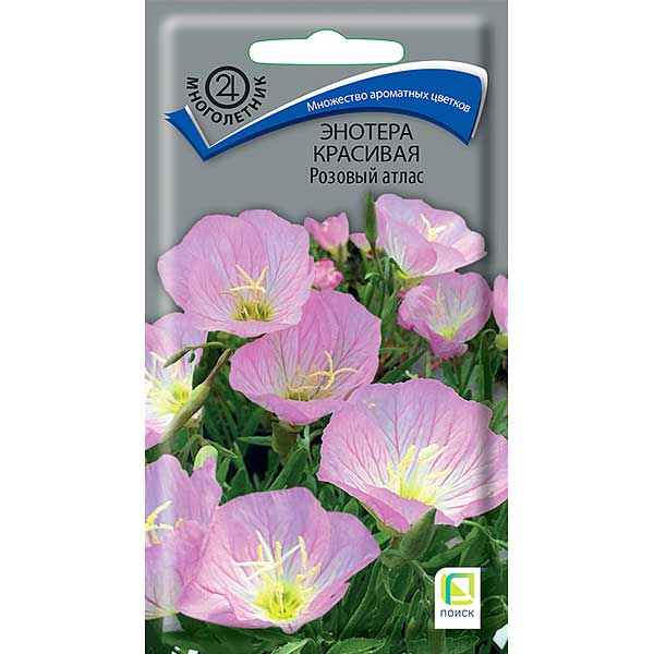 Семена Энотера Розовый атлас Поиск Ц х10 