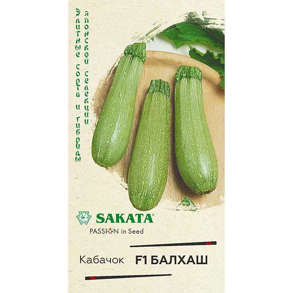 Кабачок Балхаш Гавриш Ц
