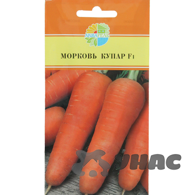 Морковь Купар Маринда/Акварель
