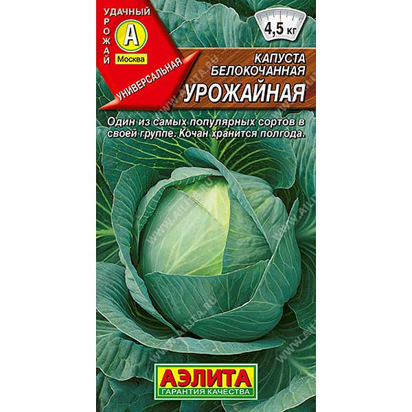 Капуста Урожайная Аэлита Ц