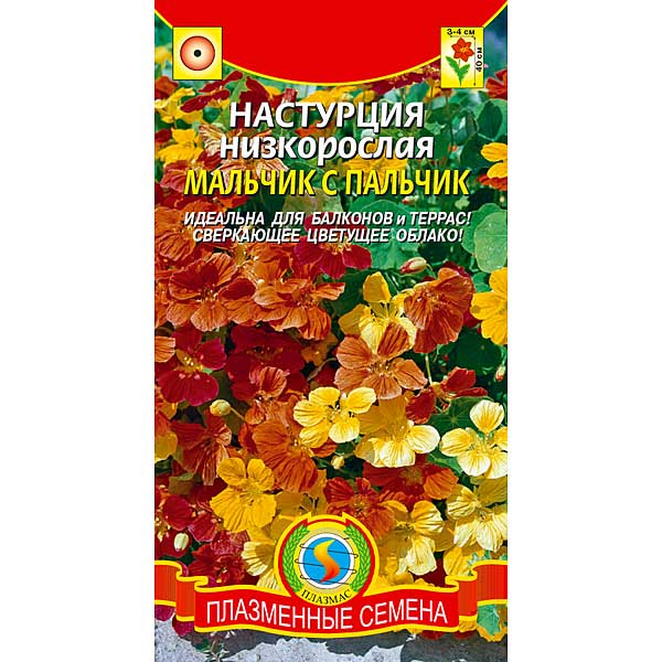 Настурция Мальчик с пальчик Плазма Ц 