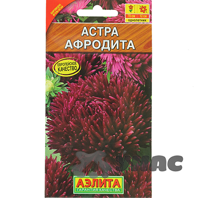 Астра Афродита Аэлита Ц 