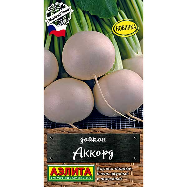 Дайкон Аккорд Аэлита Ц