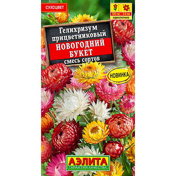 Гелихризиум Новогодний букет Аэлита Ц 