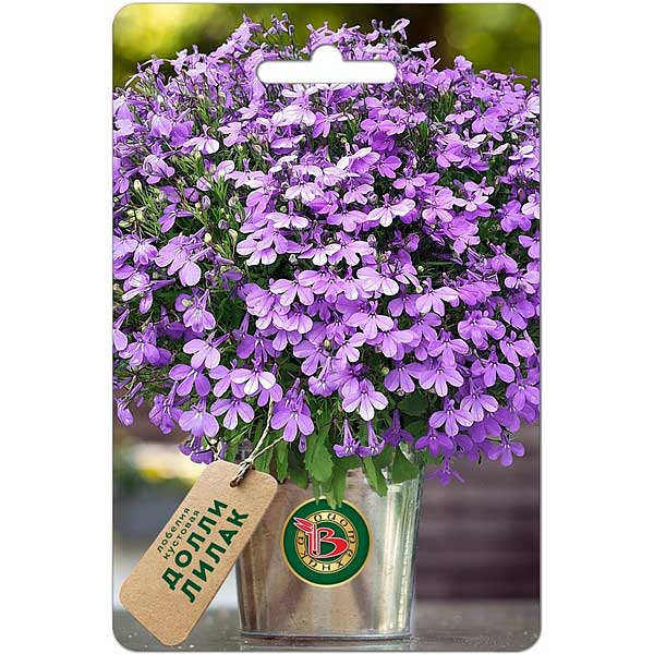 Лобелия Долли Лилак  Биотехника Ц 