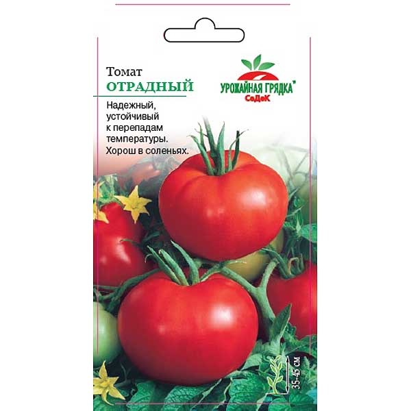 Семена Томат Отрадный Седек